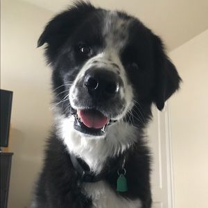 Meet your Posher, Starr